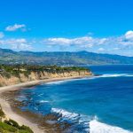 Malibu Insurance Agent