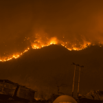 Malibu Wildfire Insurance