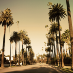 Beverly Hills Insurance Agent