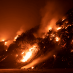 Malibu Fire Insurance