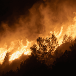 Agoura Hills Fire Insurance