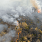 Thousand Oaks Fire Insurance